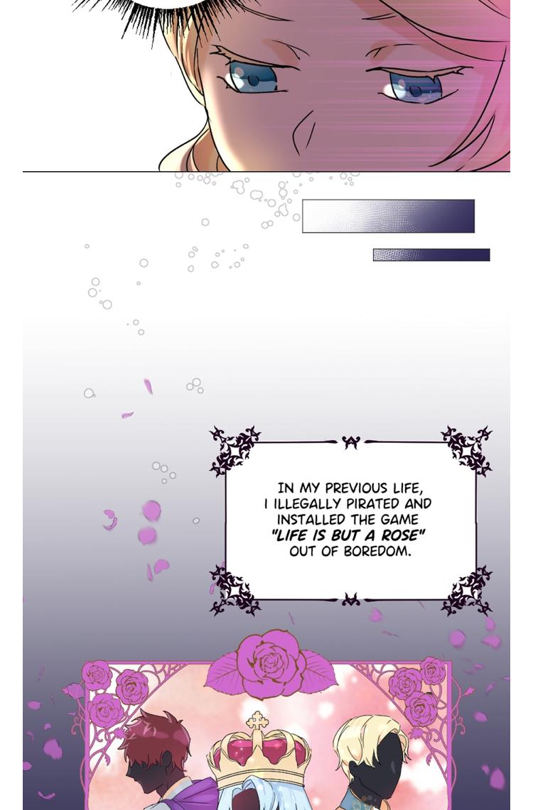 Page 8 of Chapter 1