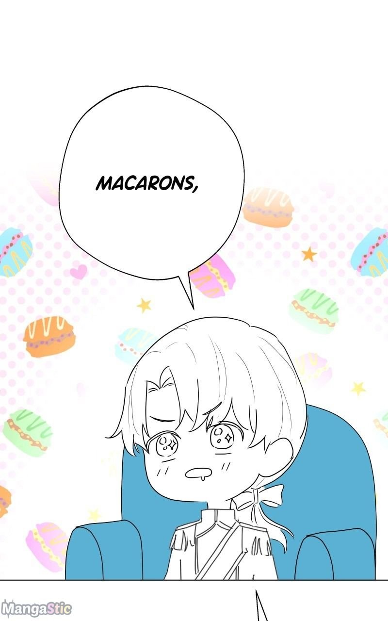 Page 17 of Chapter 11.1