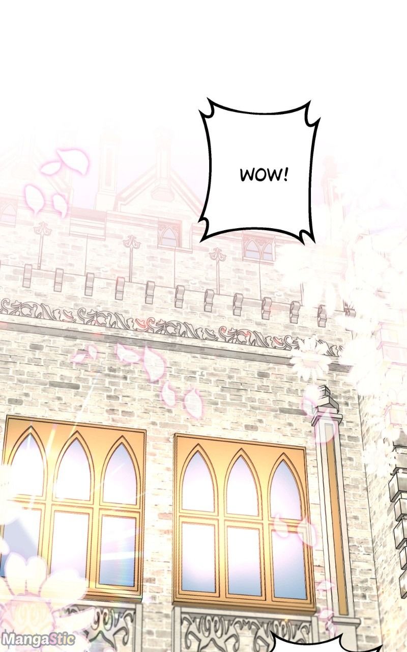 Page 19 of Chapter 14