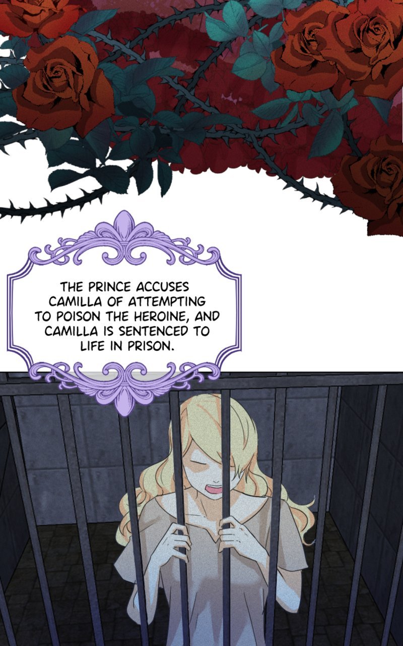 Page 12 of Chapter 3