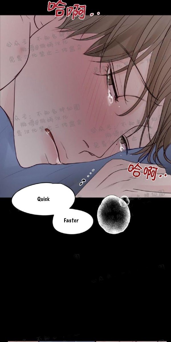 Page 40 of Chapter 11