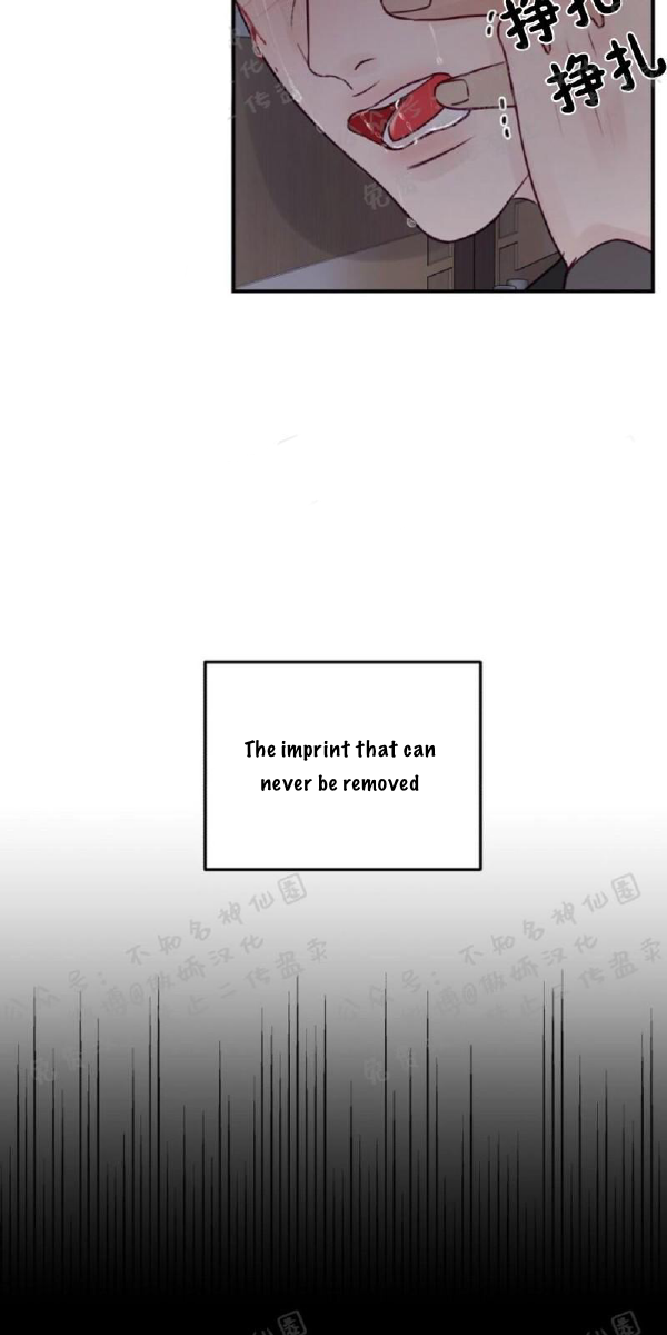 Page 21 of Chapter 13