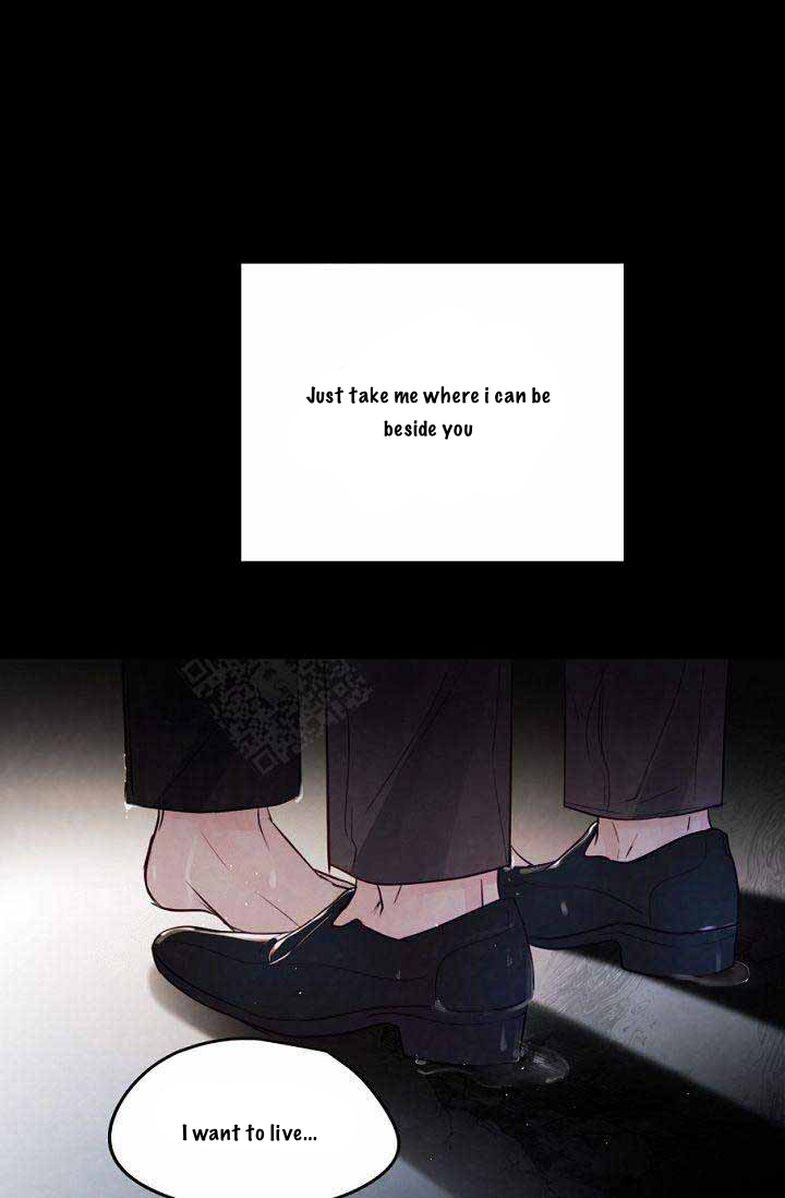Page 31 of Chapter 14