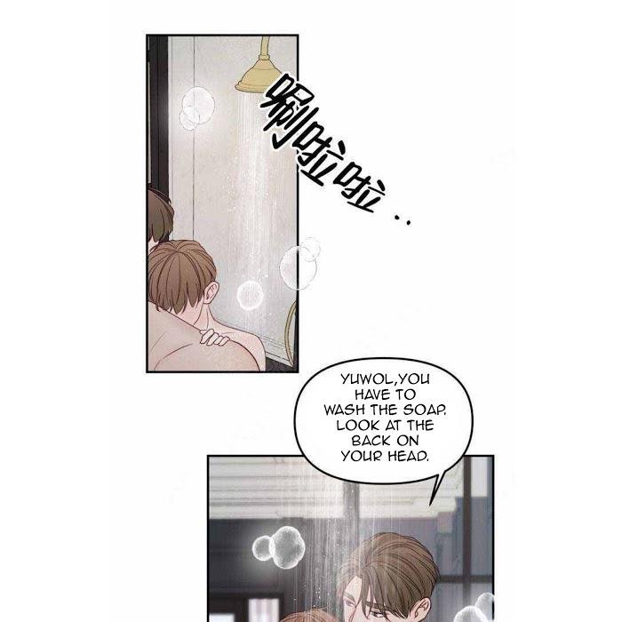Page 28 of Chapter 15