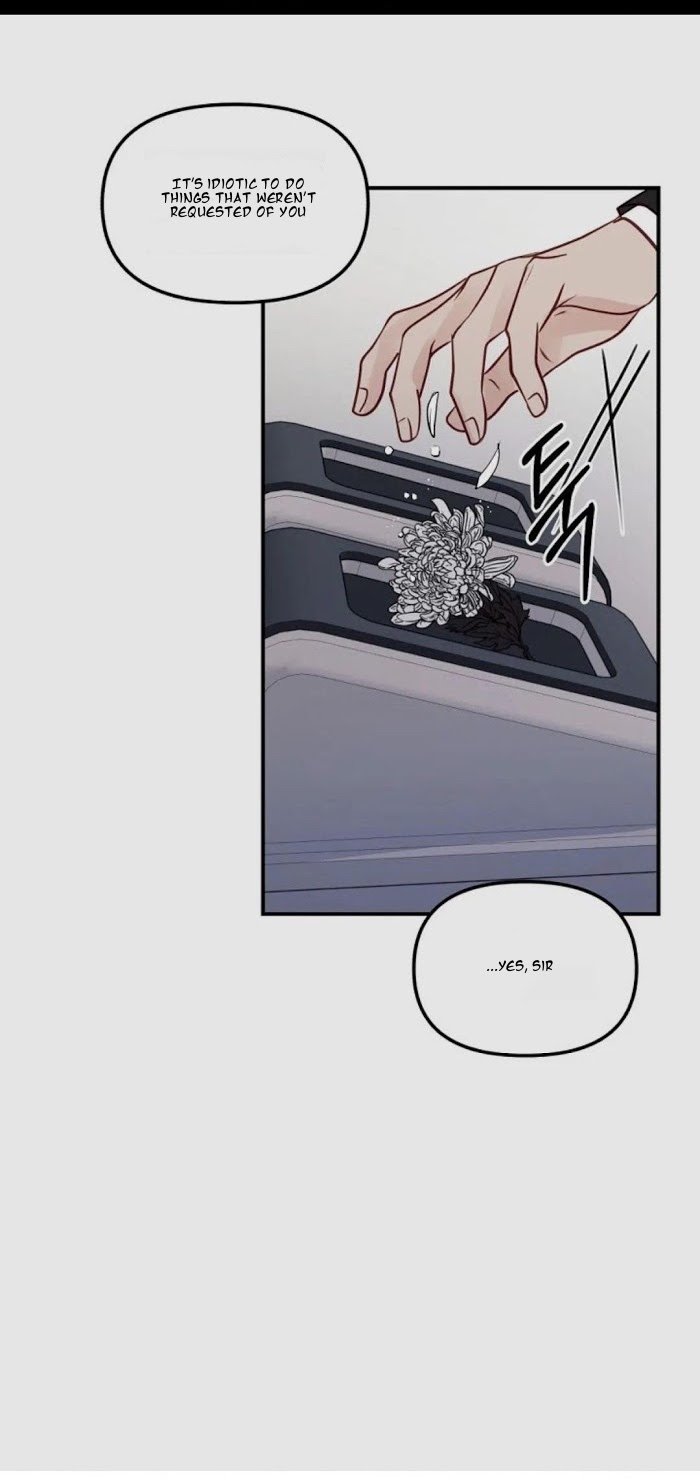 Page 21 of Chapter 19