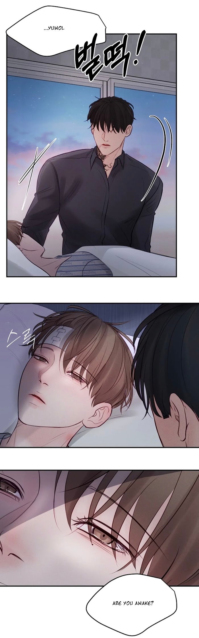Page 21 of Chapter 41