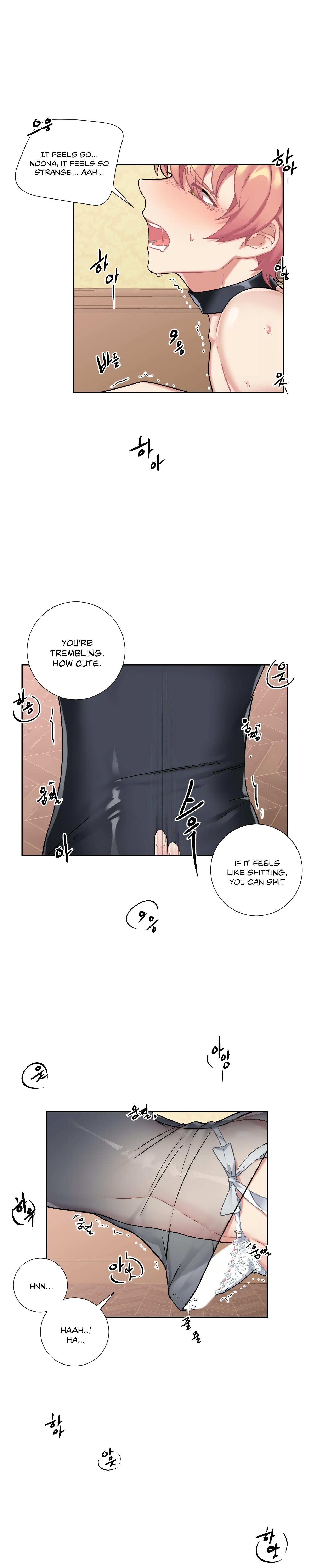 Page 17 of Chapter 14