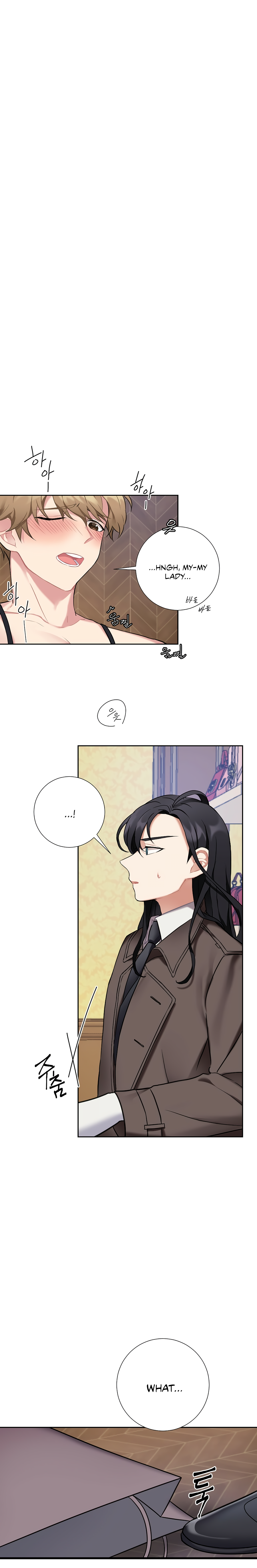 Page 5 of Chapter 17