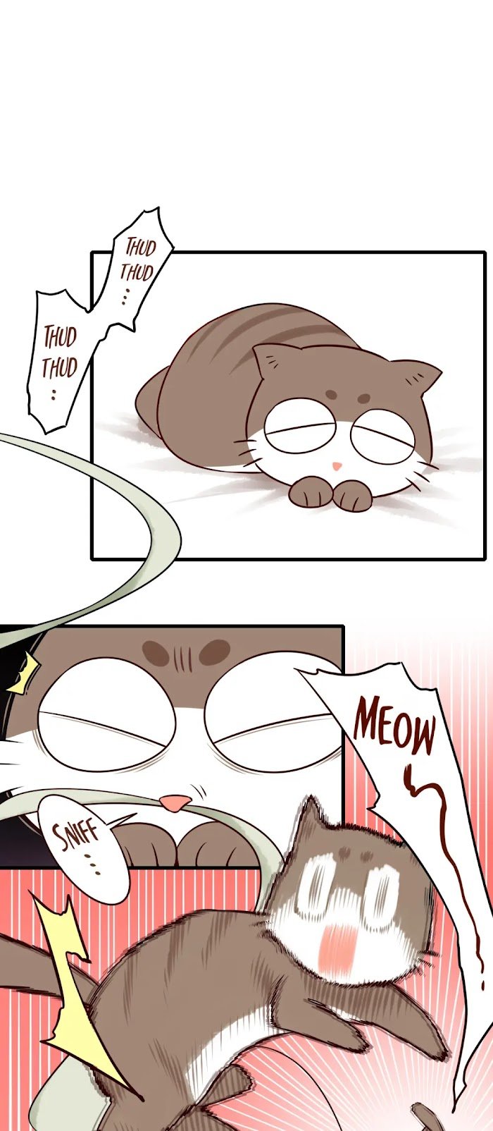 Page 18 of Chapter 54