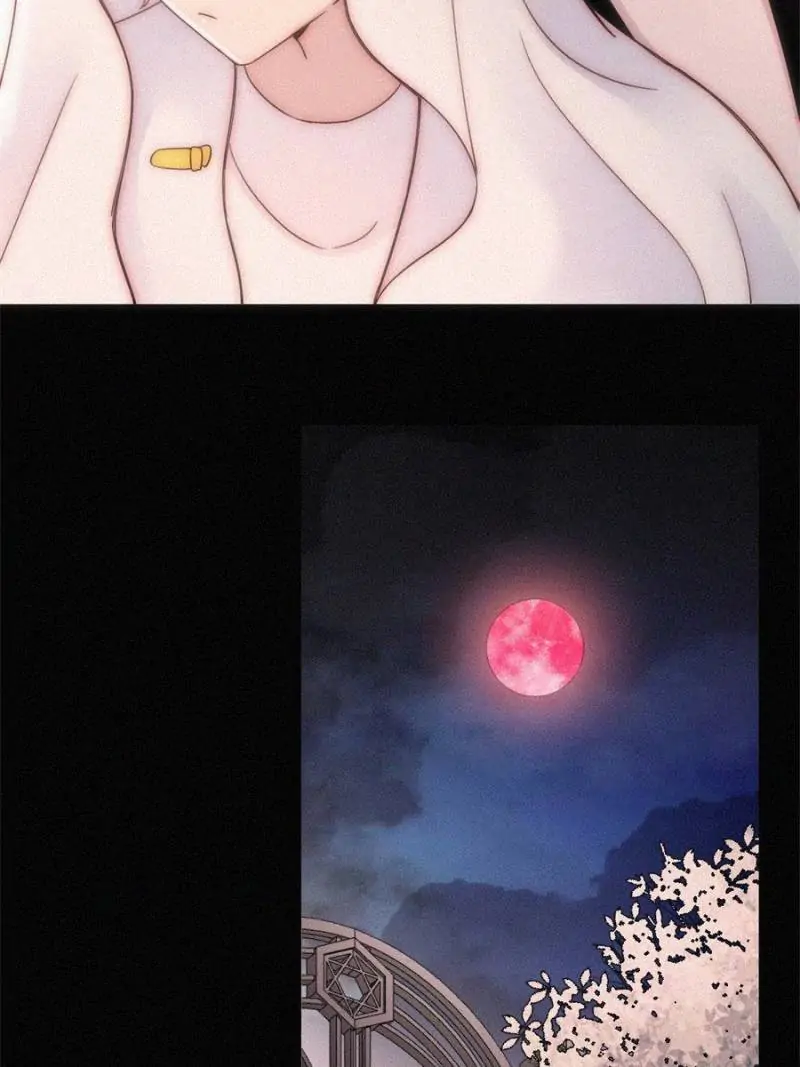 Page 31 of Chapter 114