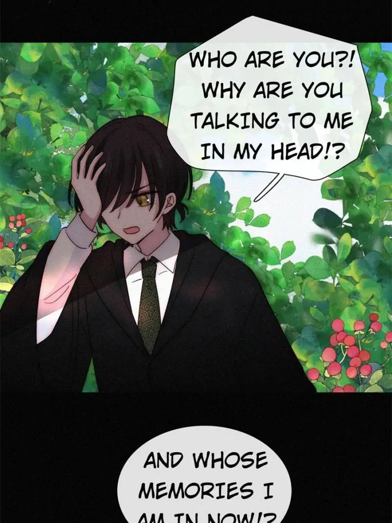 Page 31 of Chapter 117