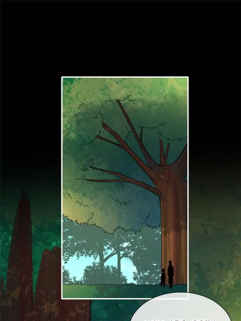 Page 29 of Chapter 125