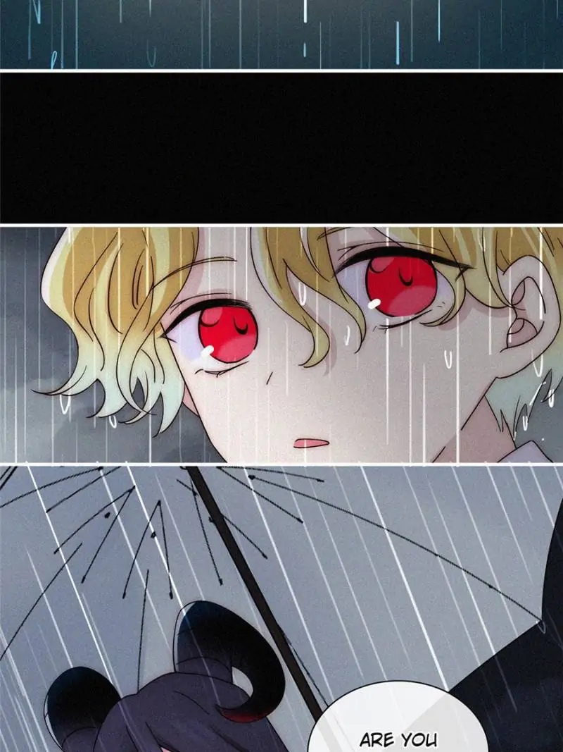 Page 31 of Chapter 126