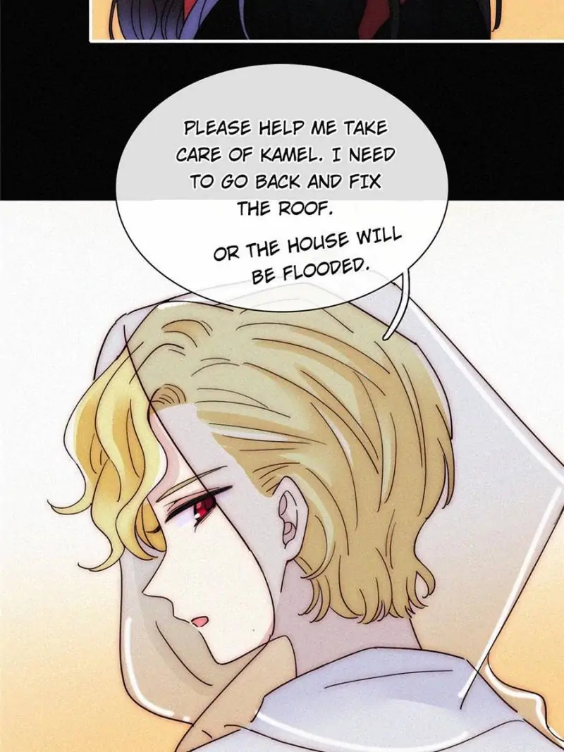 Page 40 of Chapter 126