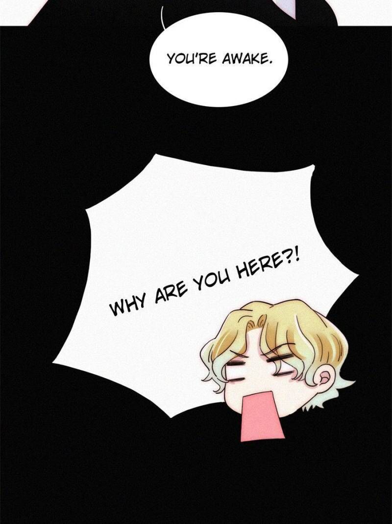 Page 41 of Chapter 111