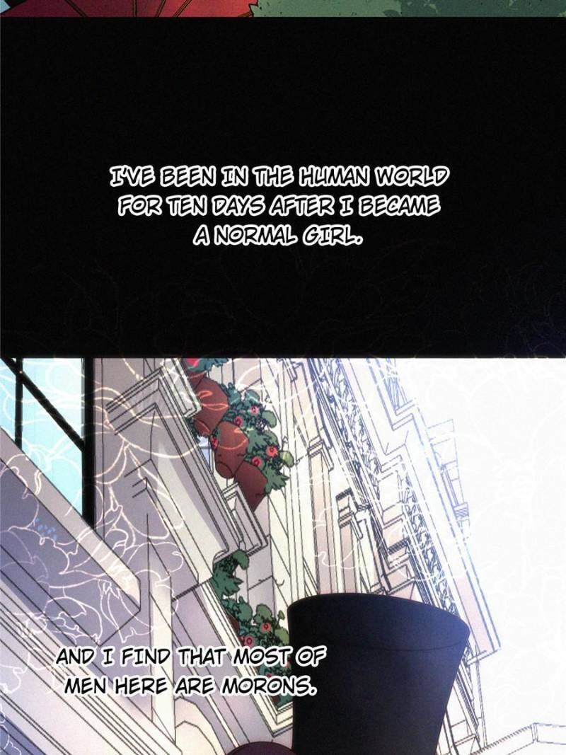 Page 31 of Chapter 94