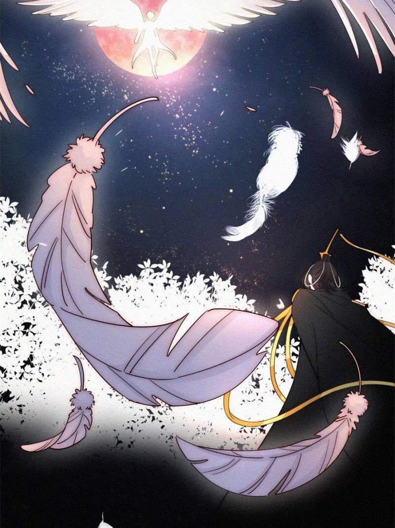 Page 13 of Chapter 97