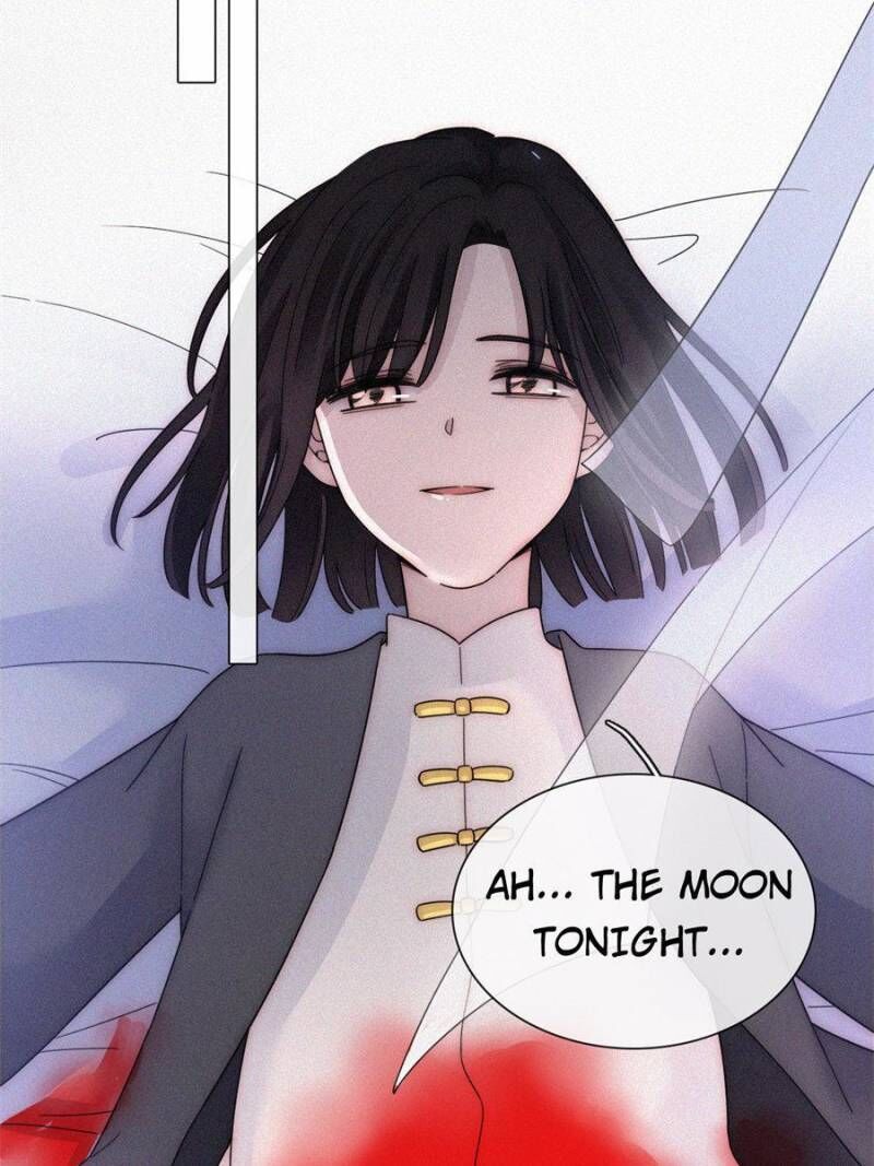 Page 41 of Chapter 97