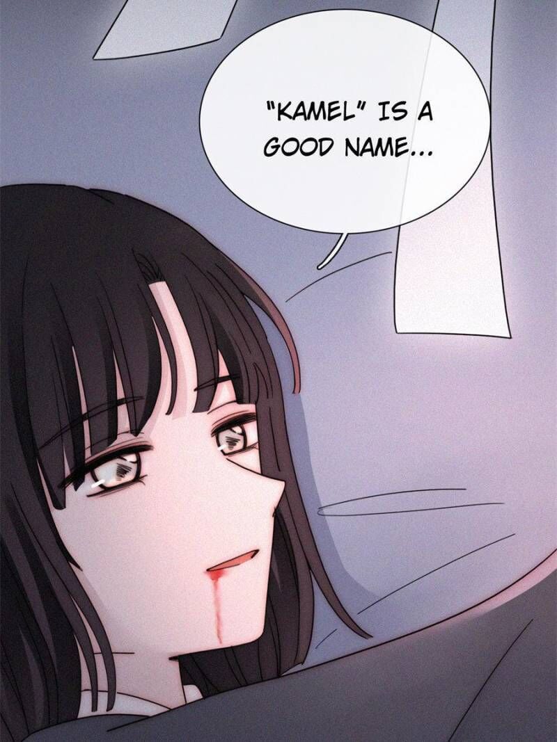 Page 47 of Chapter 97