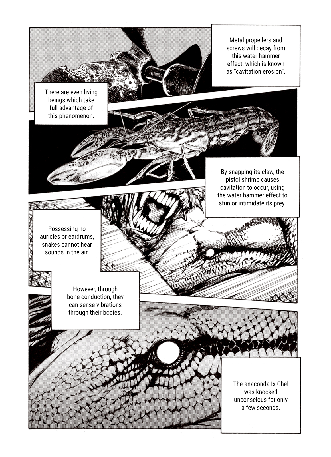 Page 24 of Chapter 80