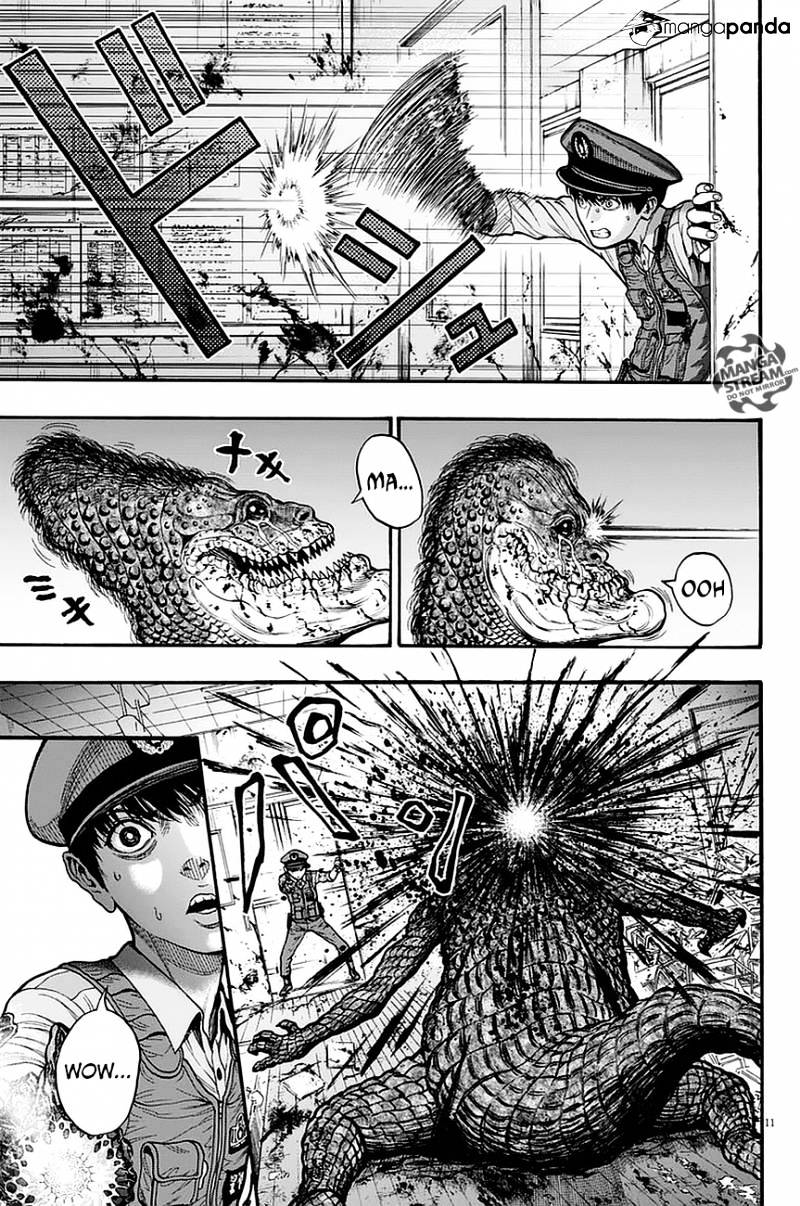 Page 11 of Chapter 15