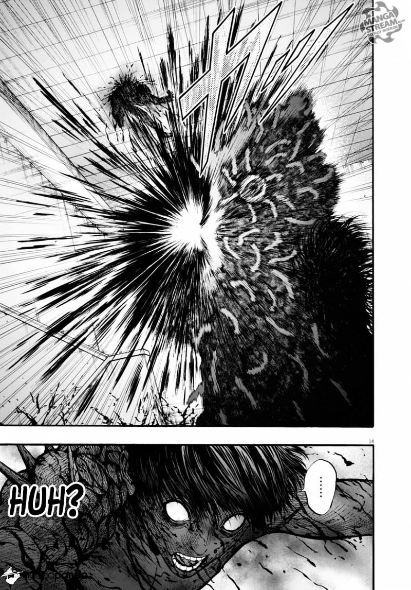 Page 14 of Chapter 16