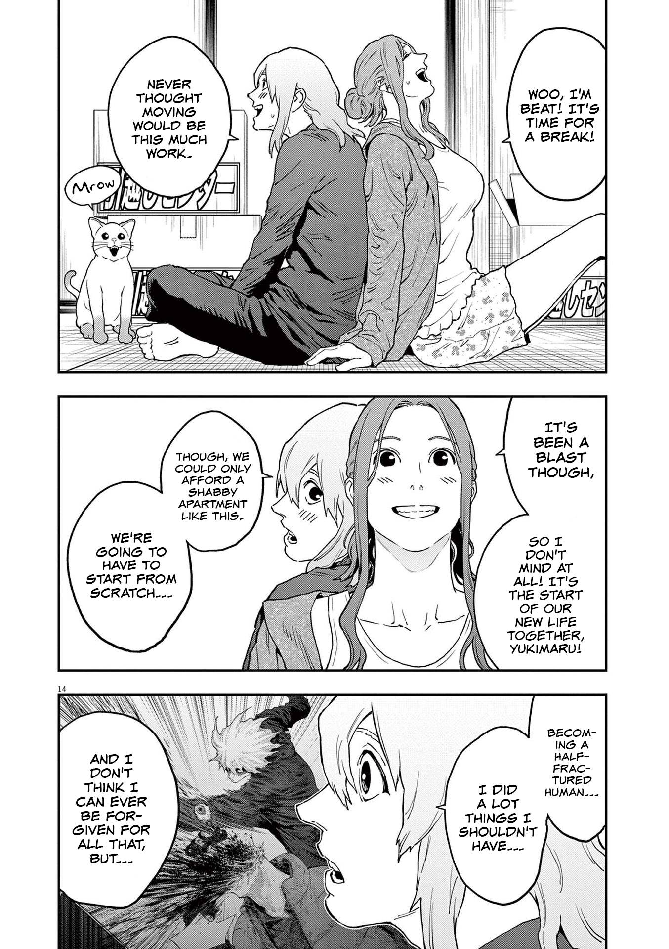 Page 14 of Chapter 161