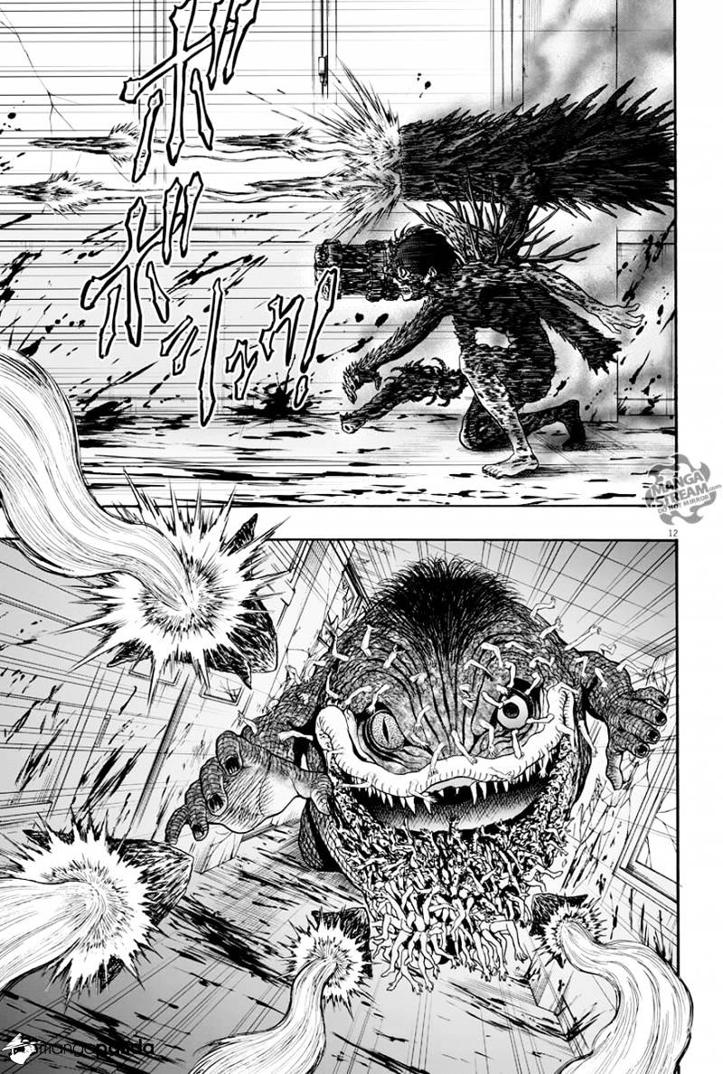 Page 12 of Chapter 17