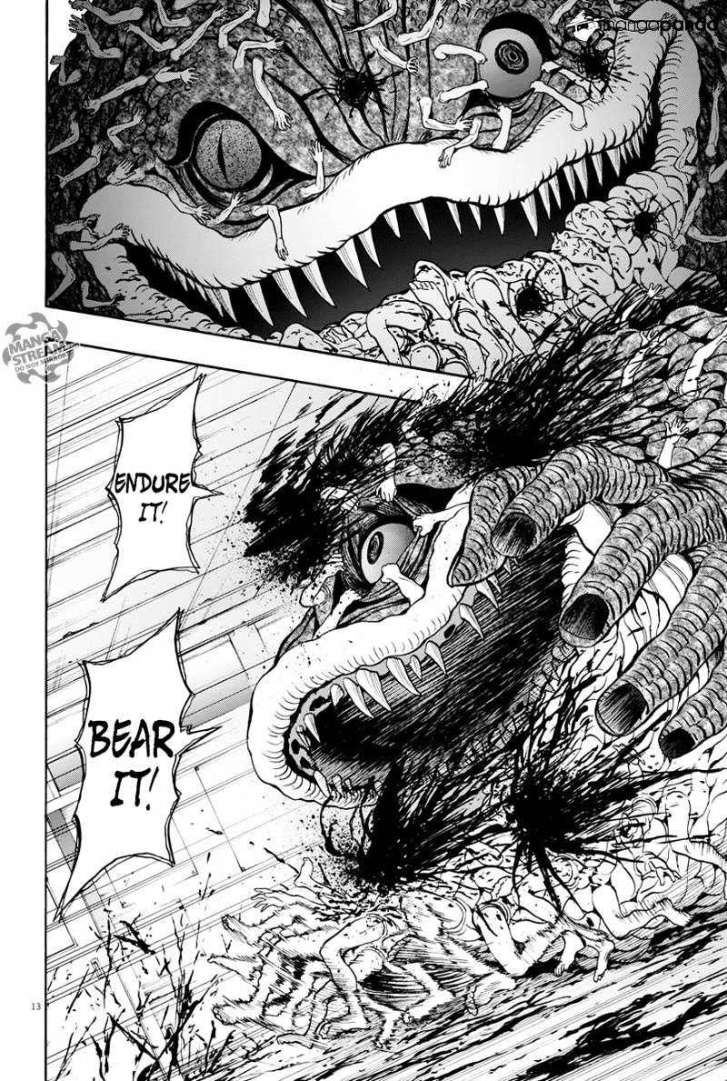 Page 13 of Chapter 17
