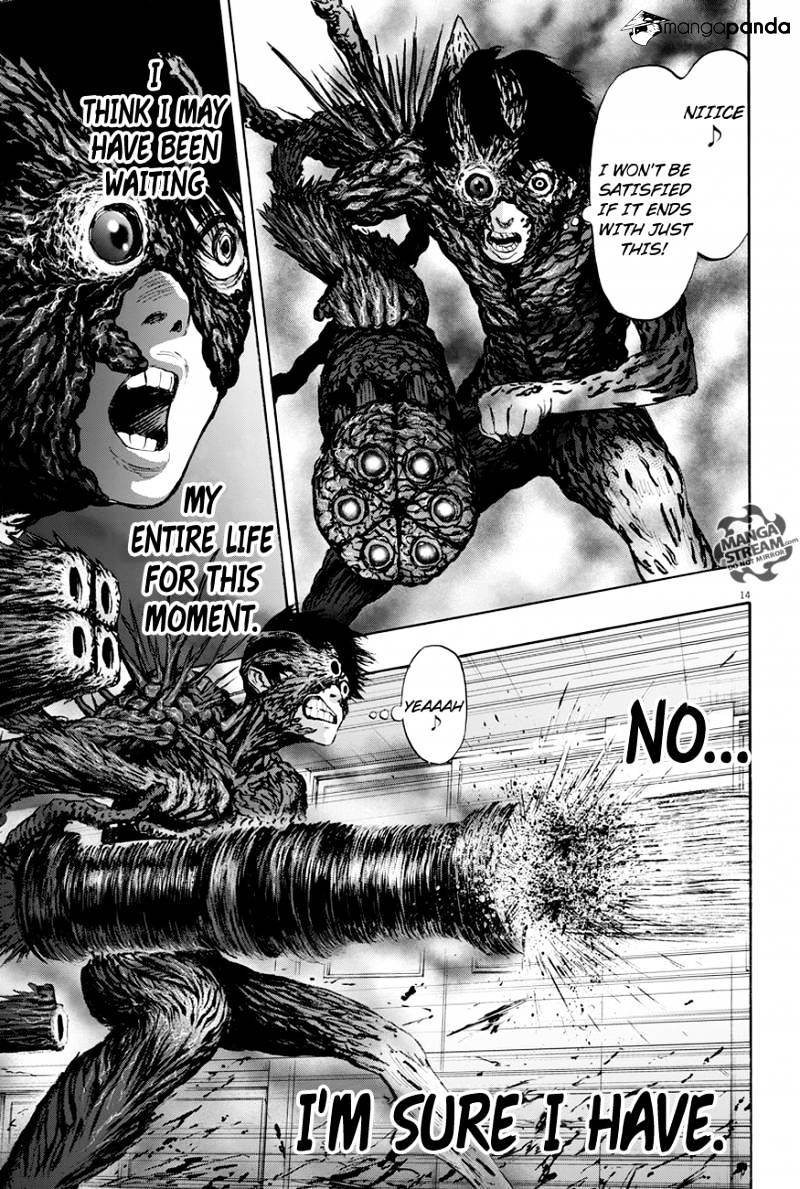 Page 14 of Chapter 17