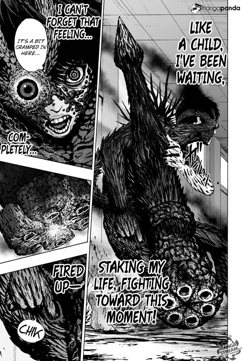 Page 16 of Chapter 17