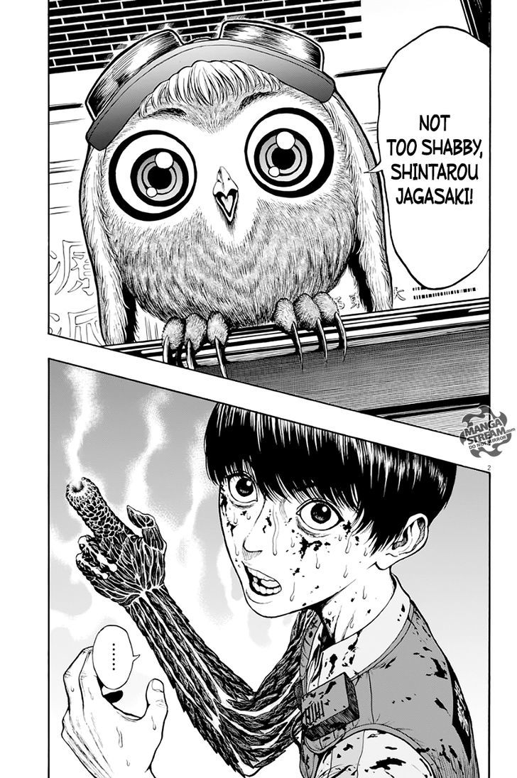 Page 3 of Chapter 2