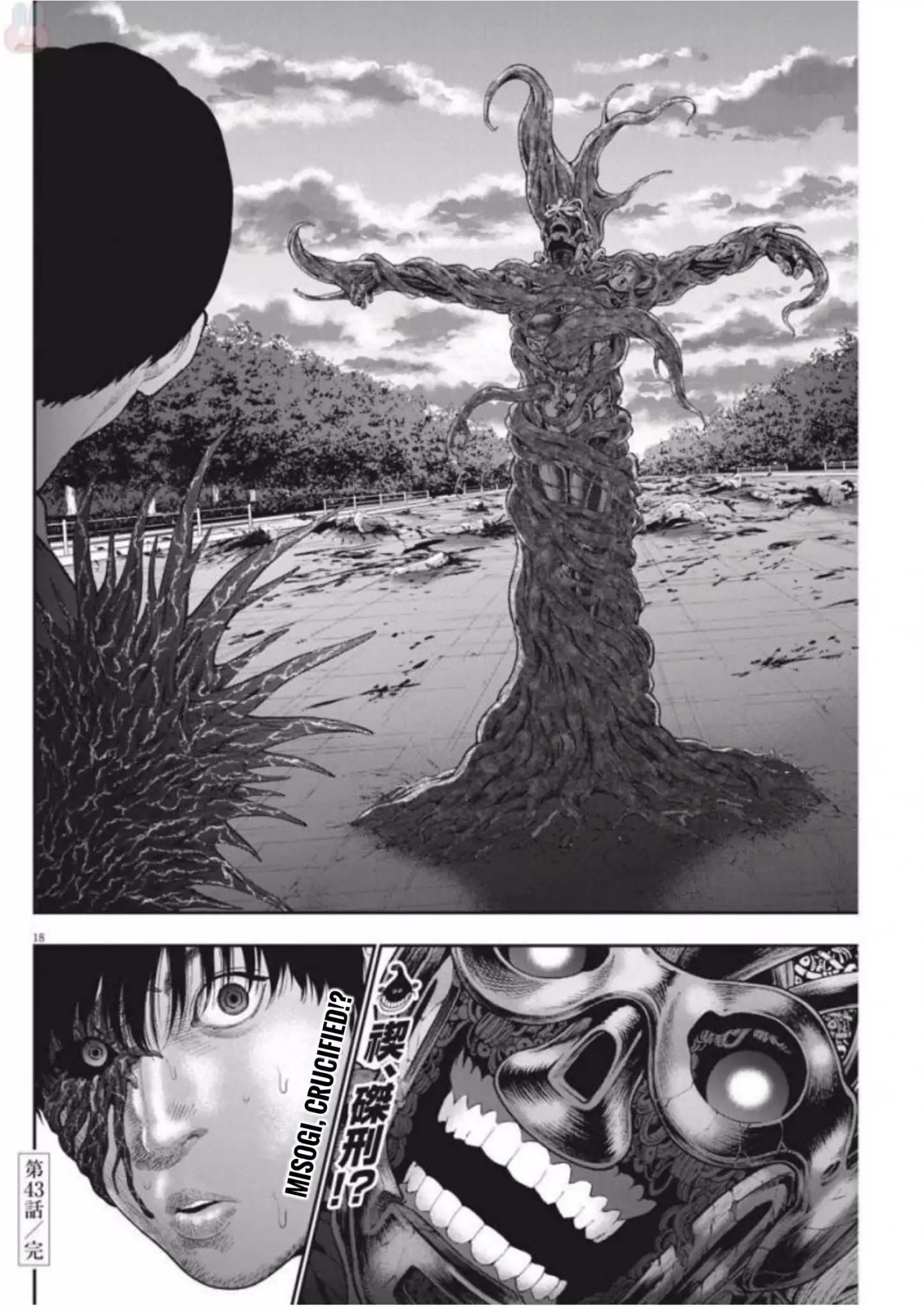 Page 17 of Chapter 43