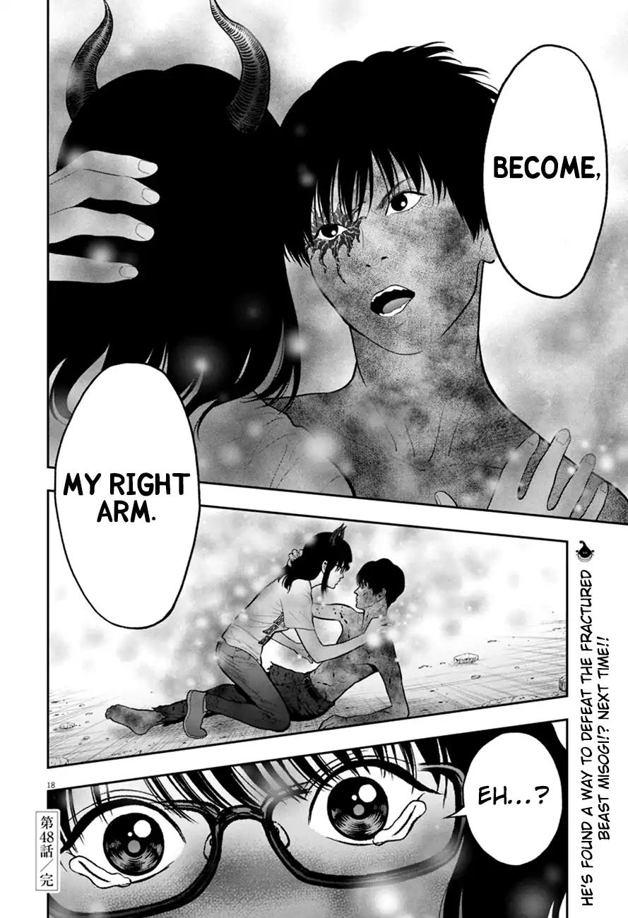 Page 17 of Chapter 48