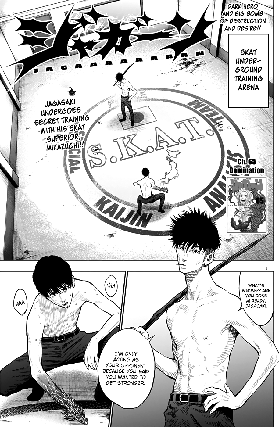 Page 1 of Chapter 65