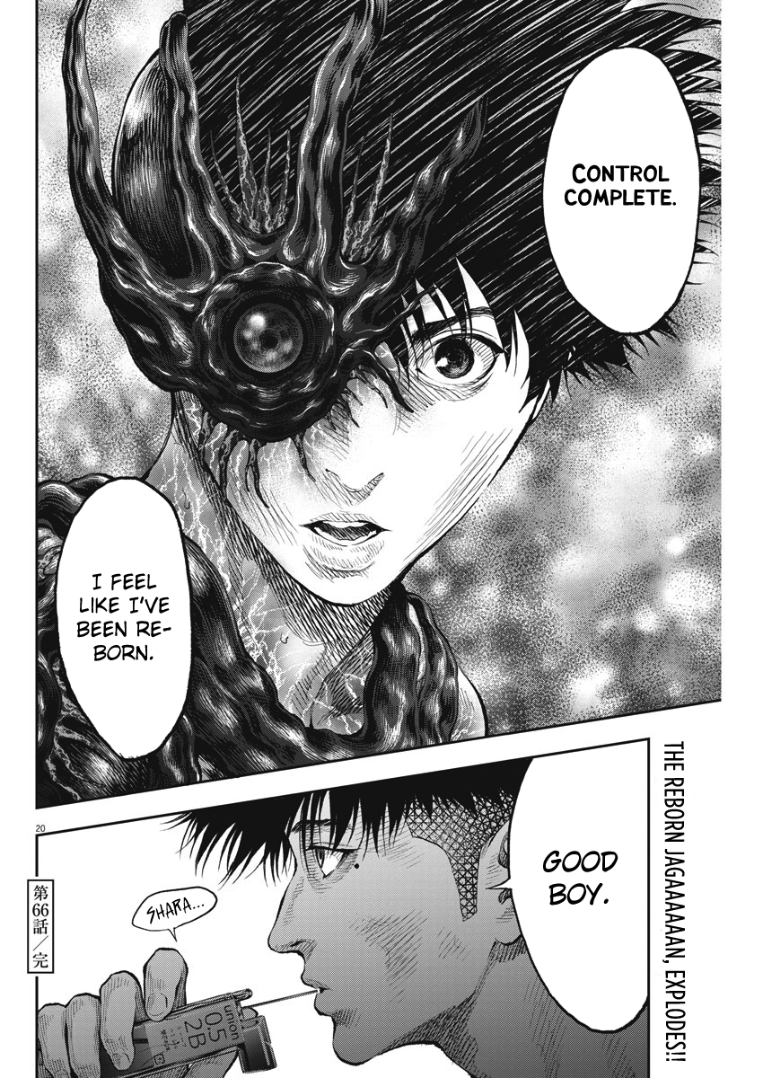 Page 19 of Chapter 66