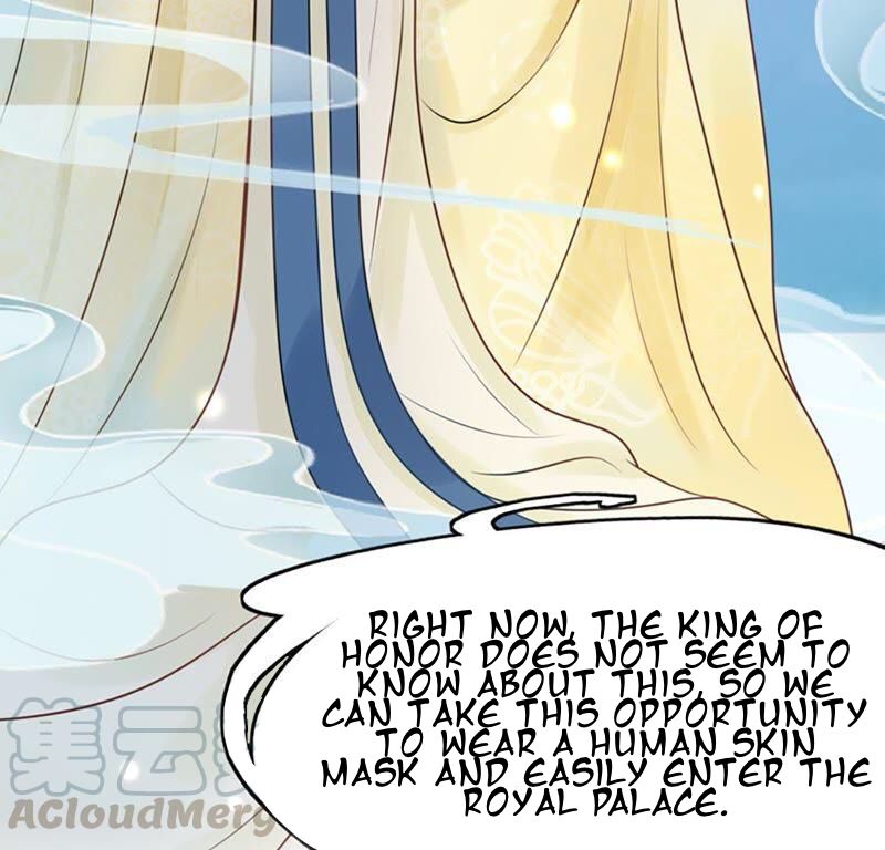 Page 28 of Chapter 0