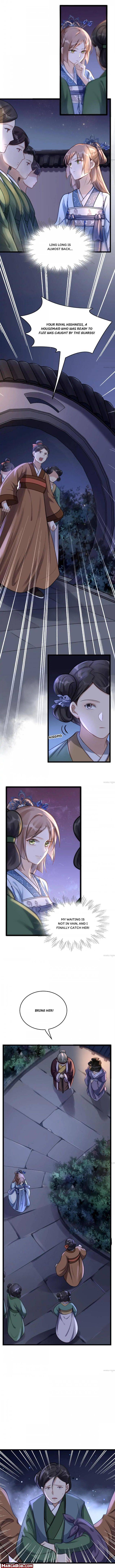 Page 3 of Chapter 14
