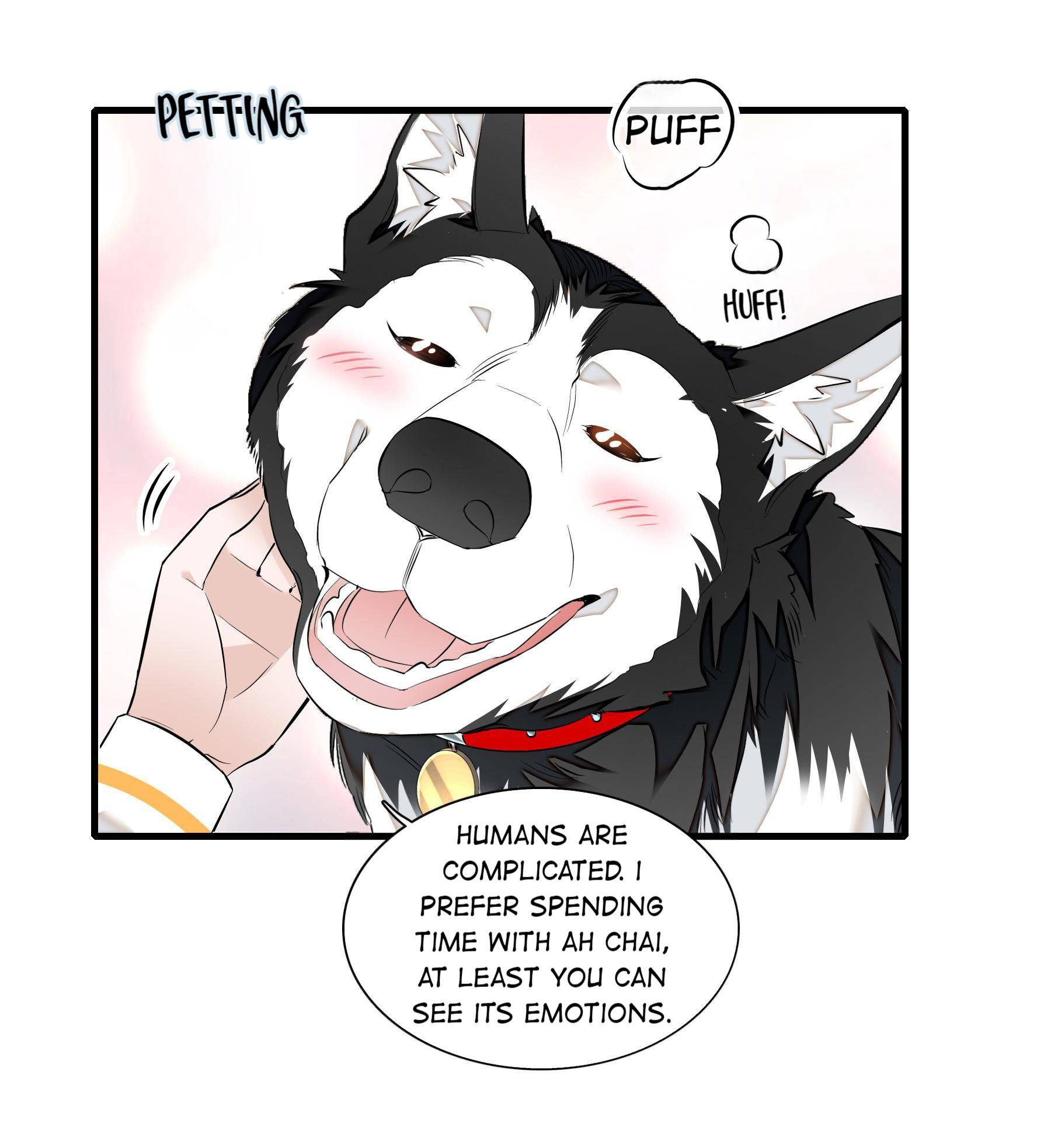Page 22 of Chapter 63