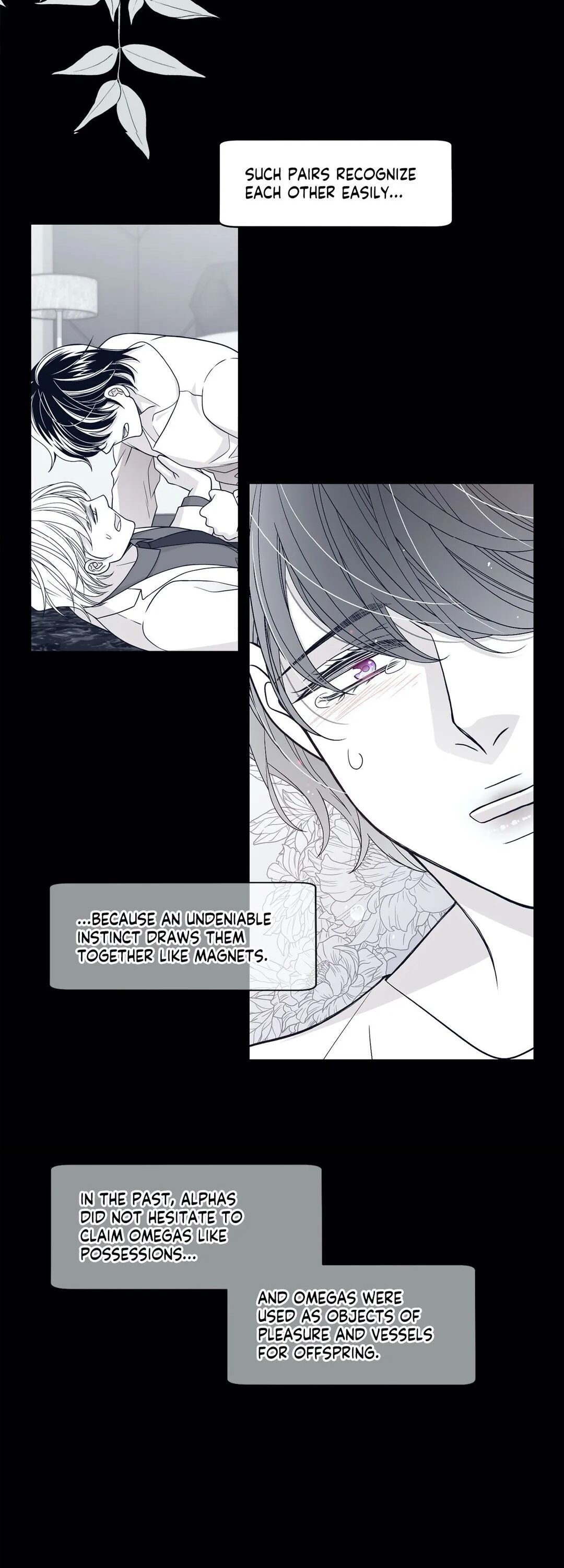 Page 8 of Chapter 41