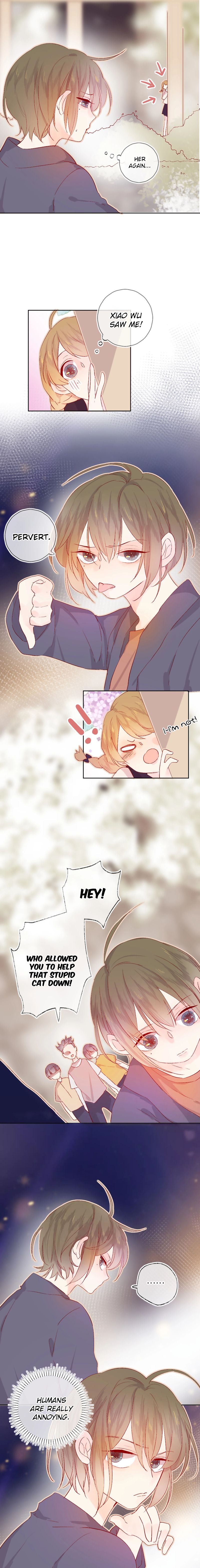 Page 3 of Chapter 13