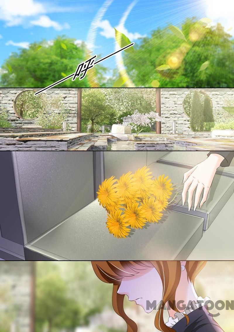 Page 3 of Chapter 260