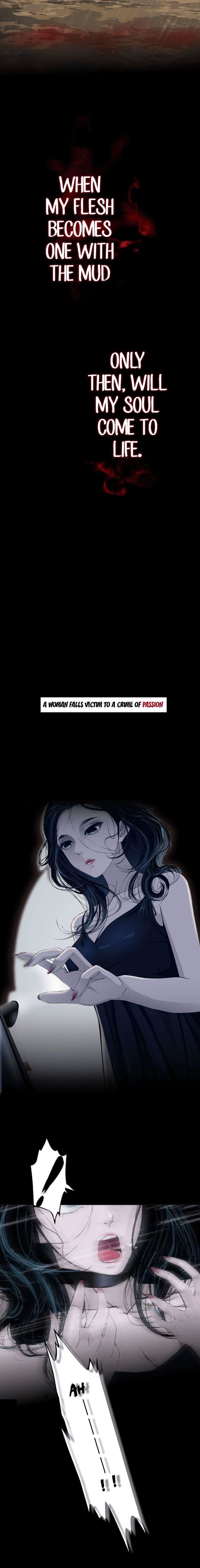 Page 1 of Chapter 1.1
