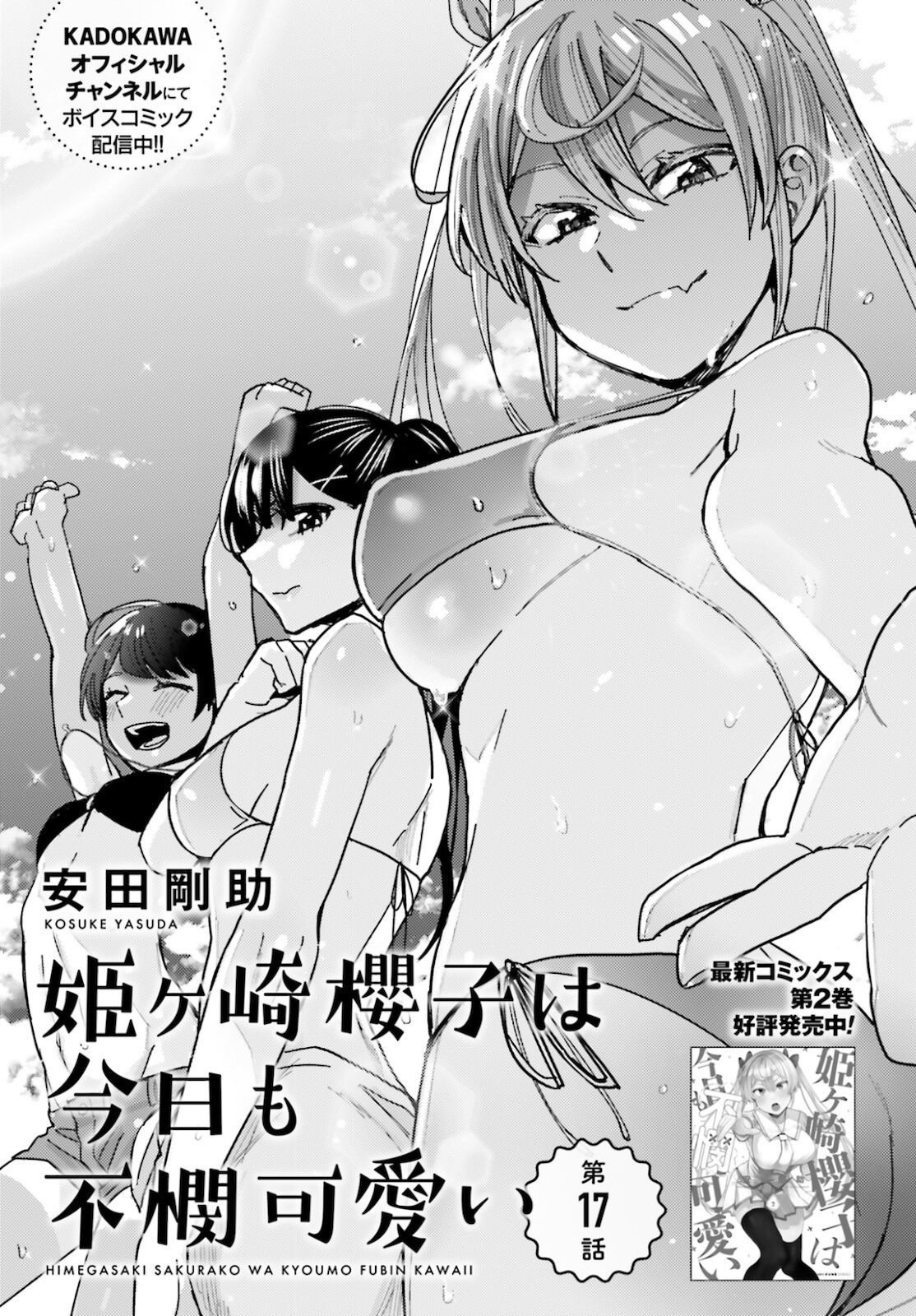 Page 1 of Chapter 17