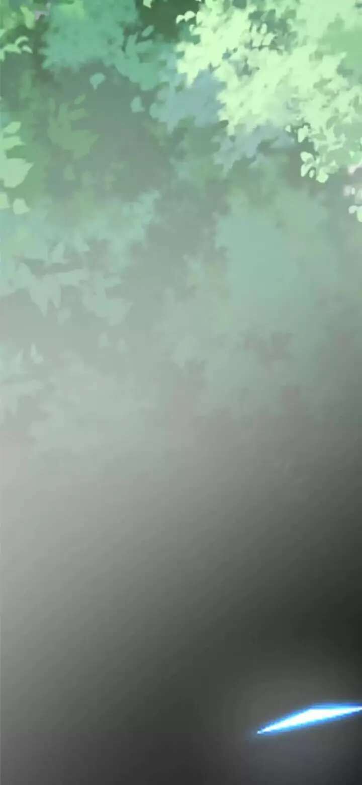 Page 17 of Chapter 185