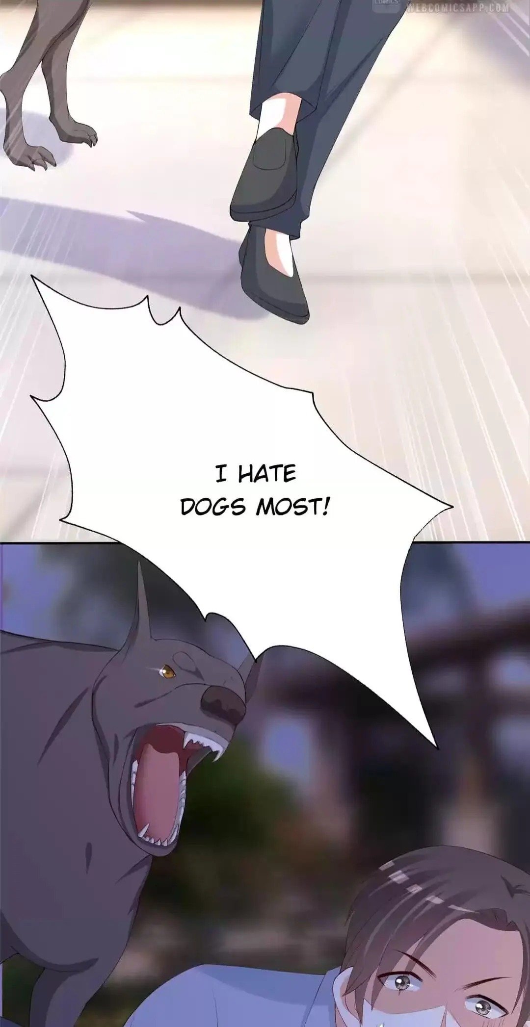 Page 5 of Chapter 246