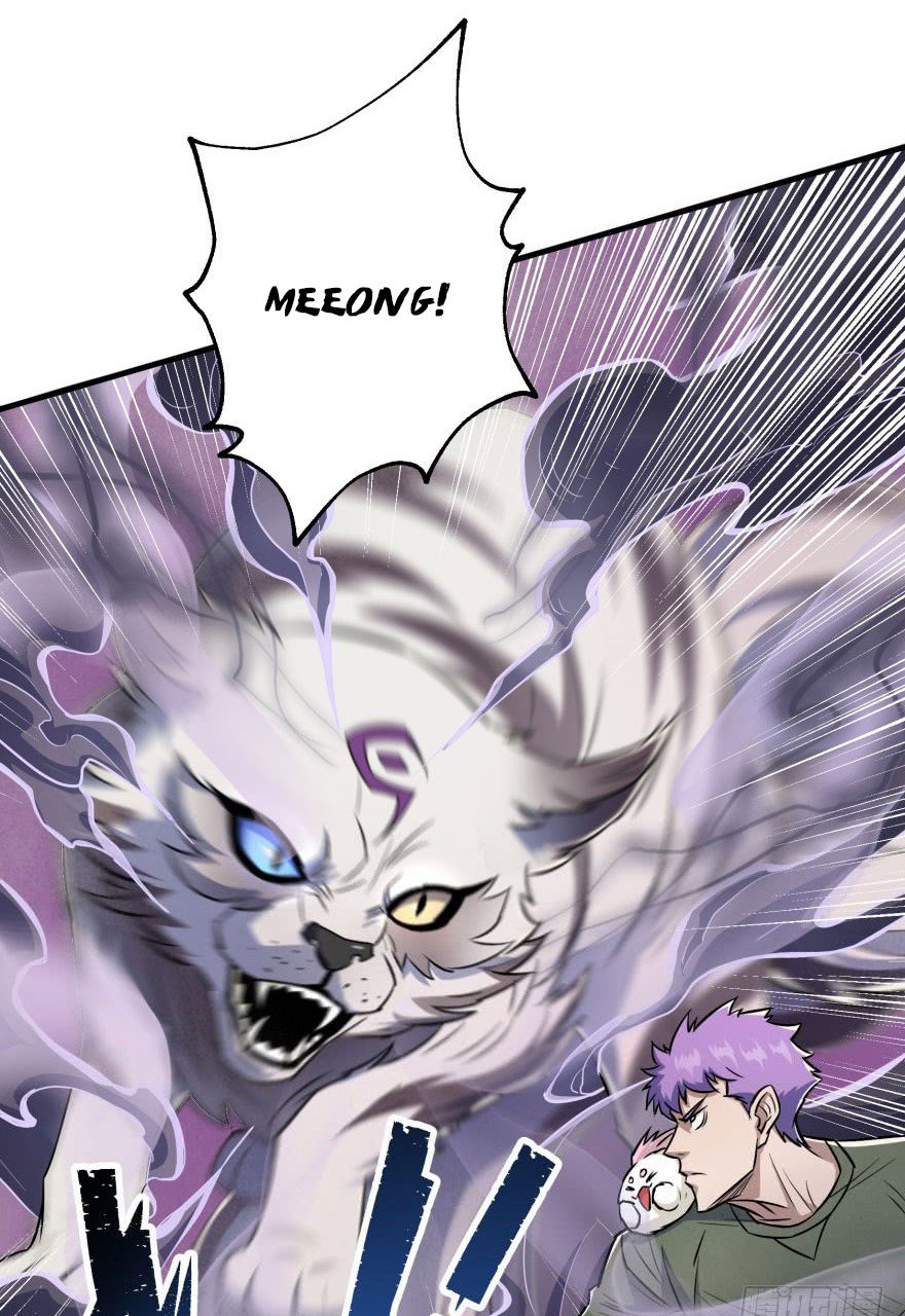 Page 14 of Chapter 68