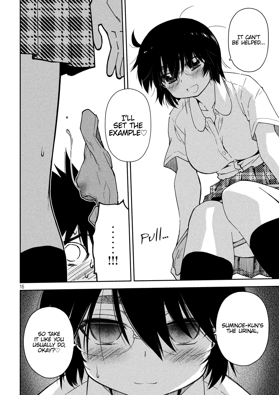 Page 17 of Chapter 132