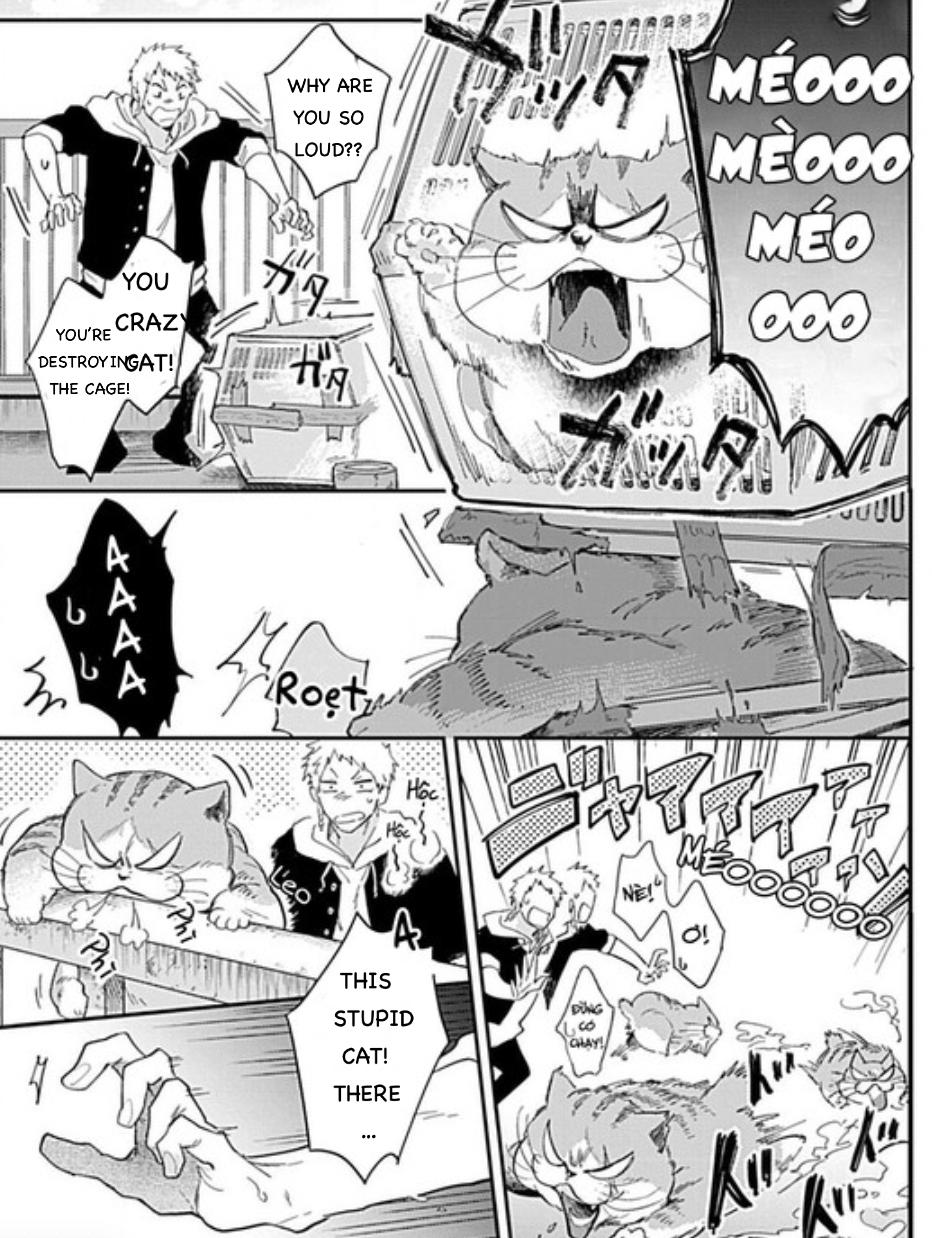 Page 5 of Chapter 4