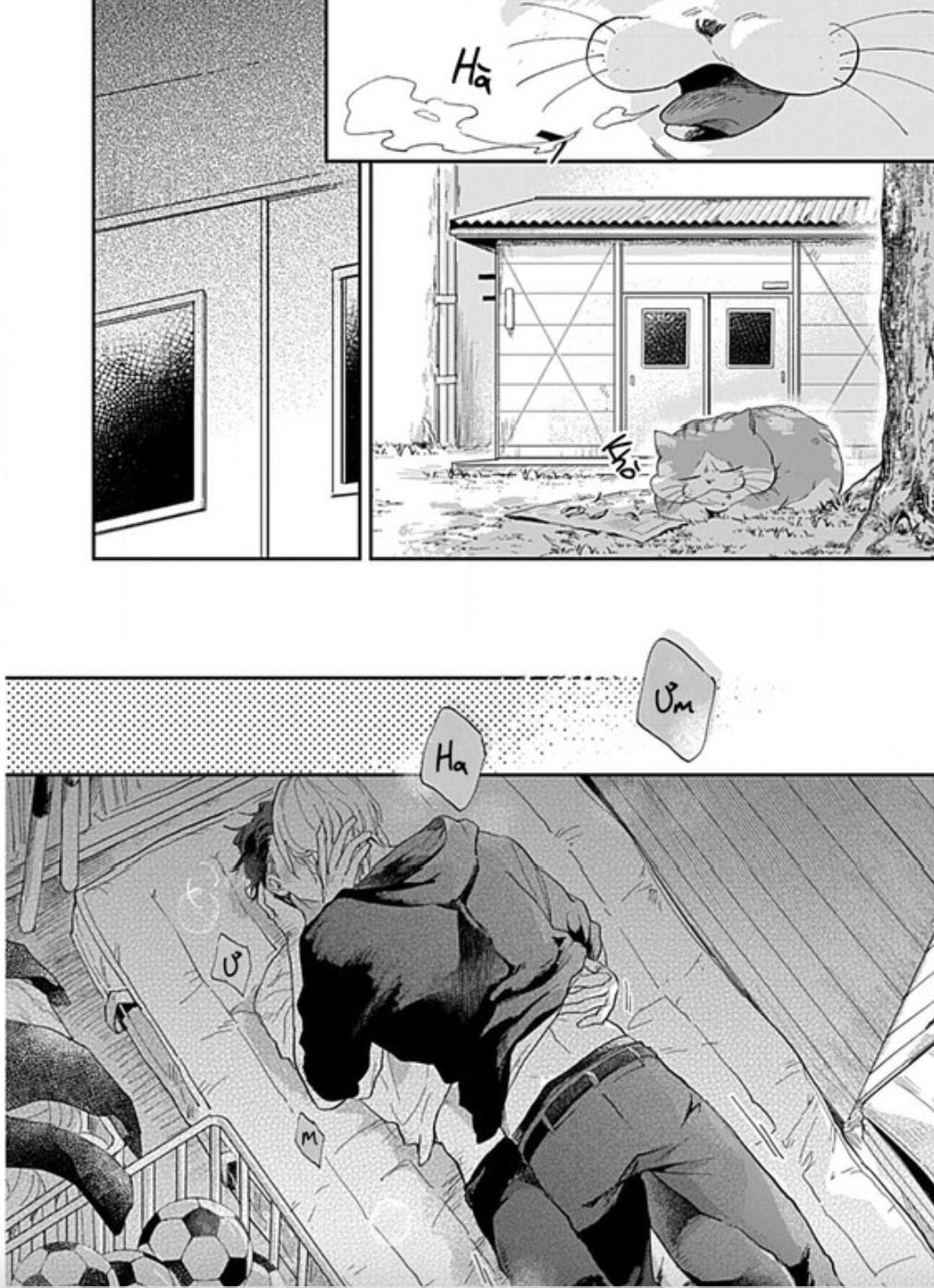 Page 17 of Chapter 4